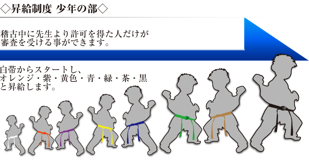 段位